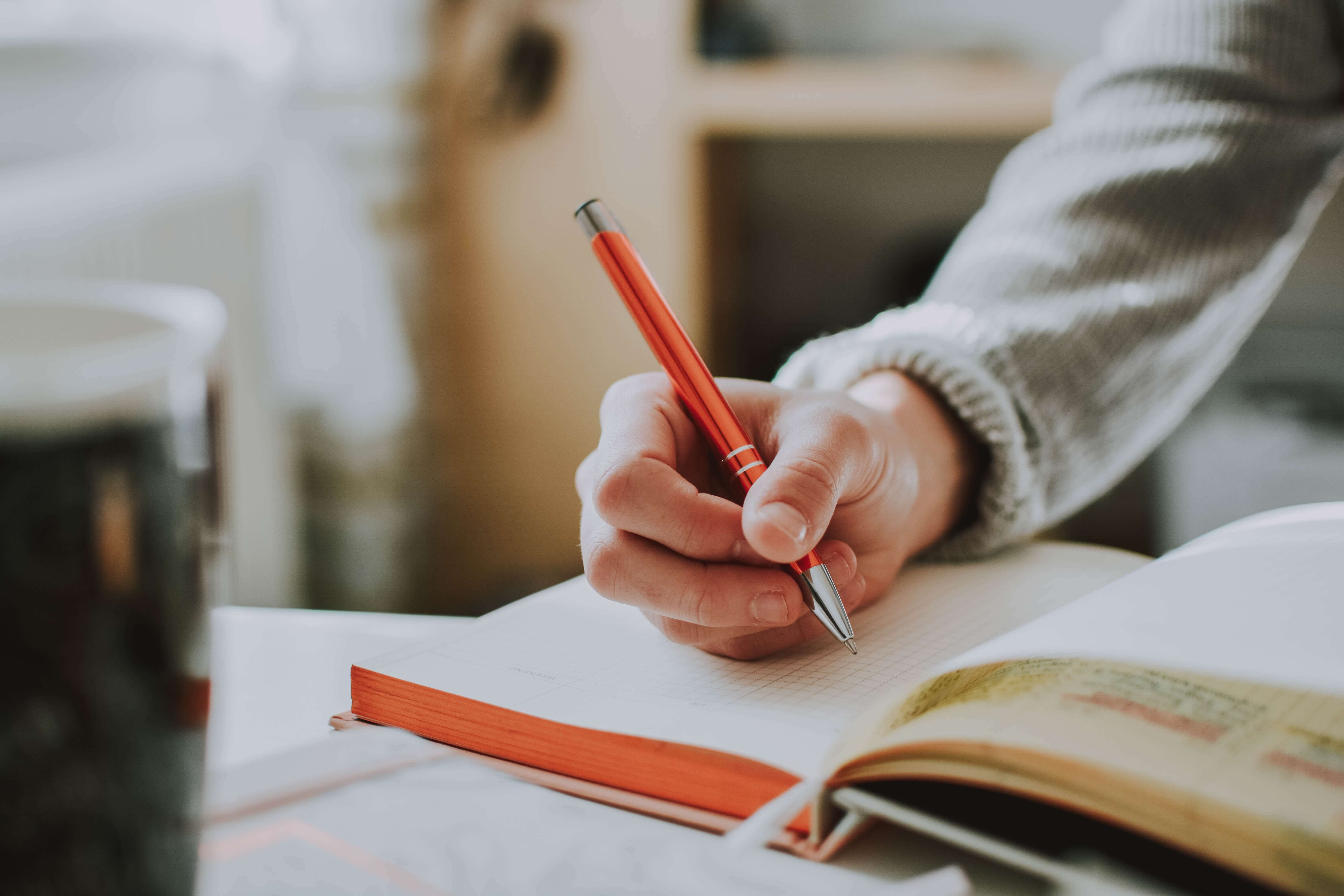 Educated but Marginalized – Social Integration in Kosovo*